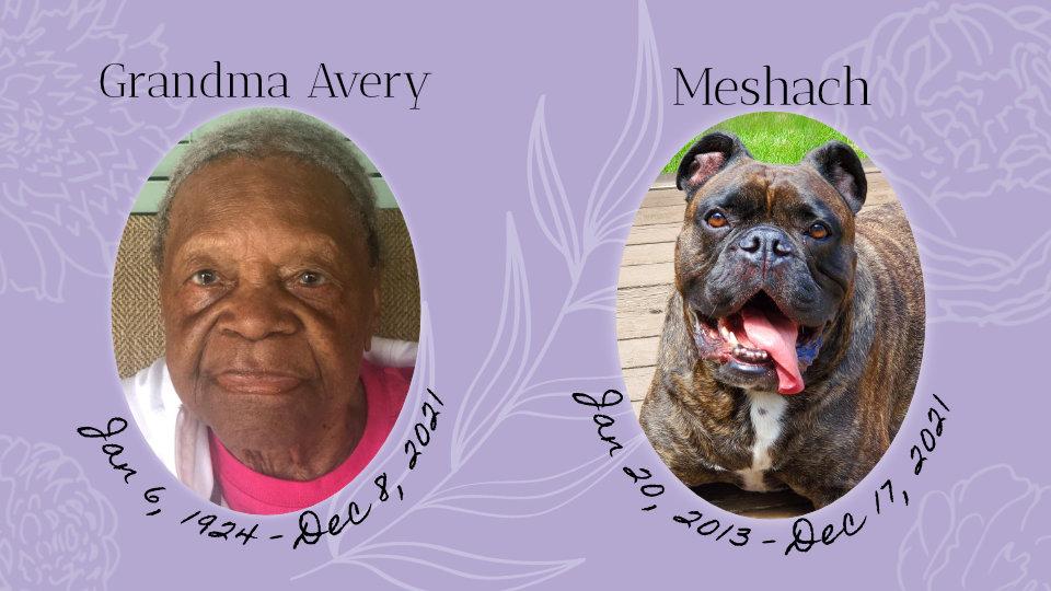 Grandma Avery (January 6, 1924–December 8, 2021) and Meshach (January 20, 2013–December 17, 2021)